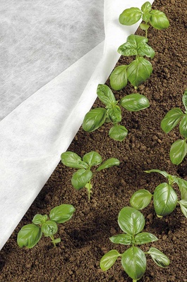 Manta Termica Protector Plantas 10x1,60 Metro