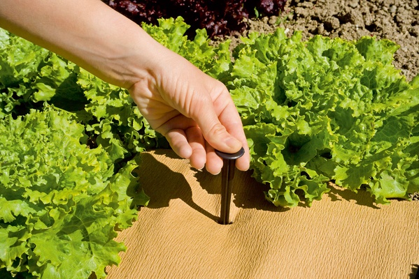 Estacas para Fijar Plastico 11,5 cm 10 unidades