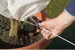 Manta Termica Protector Plantas Beige 1,2x1,6 metros 2 uds