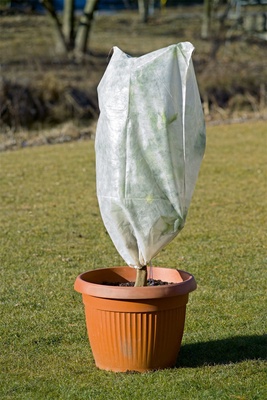 Manta Termica Protector Plantas Beige 1,5x2,4 metros  2 uds