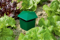 Trampa para Caracoles