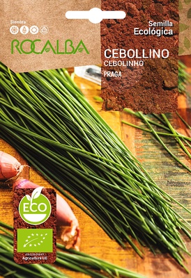 Semilla Ecologica Cebollino Praga