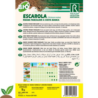 Semilla Ecologica Escarola Rizada Pancalieri Costa Bia