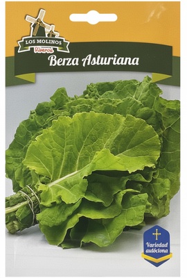 Semilla Berza Amarilla de Asturias 5 Gr