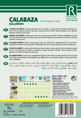 Semilla Calabaza Halloween 5 gr