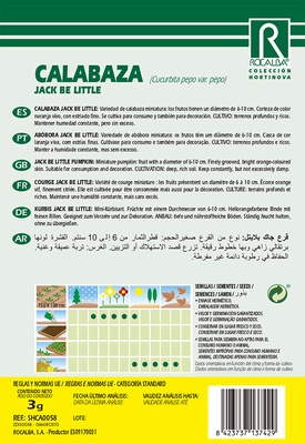Semilla Calabaza Jack Be Little 3 gr