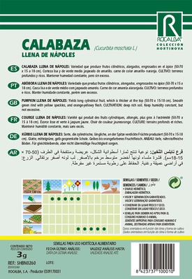 Semilla Calabaza Llena de Napoles