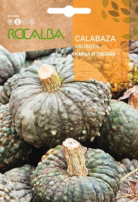 Semilla Calabaza Marina Di Chioggia 5 gr