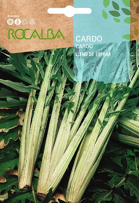 Semilla Cardo Lleno de España Semilla Cardo Lleno de España