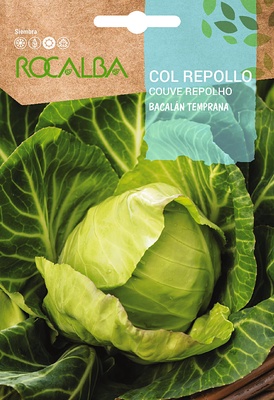 Semilla Col Repollo Bacalan Temprana