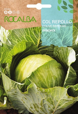 Semilla Col Repollo Brunswick
