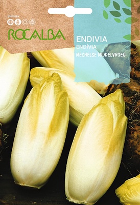 Semilla Endiba de Bruselas