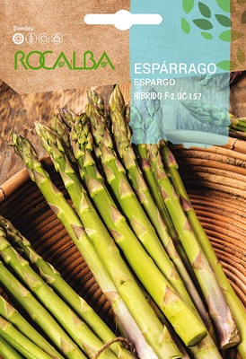 Semilla Esparrago Hibrido F-2 Uc-157