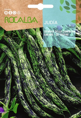 Semilla Judia Signora Della Campagna