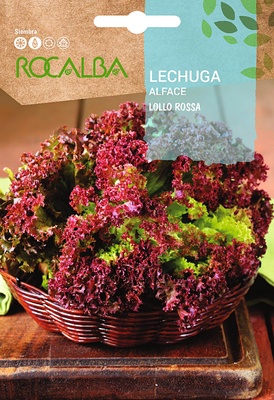 Semilla Lechuga Crispa Lollo Rossa
