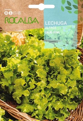 Semilla Lechuga Salad Bowl Semilla Lechuga Salad Bowl