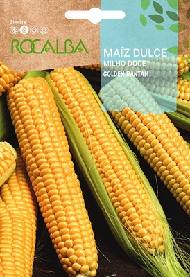 Semilla Maiz Golden Bantam Semilla Maiz Golden Bantam