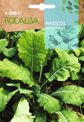Semilla Nabicol