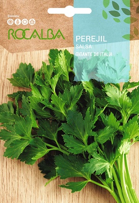 Semilla Perejil Gigante de Italia