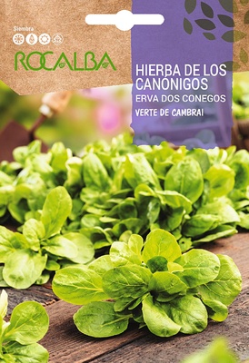 Semilla Hierba de los Canonigos