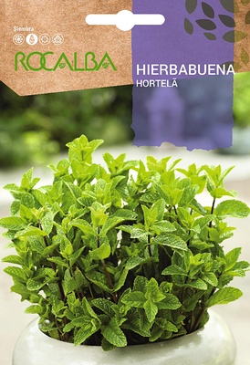 Semilla Hierbabuena