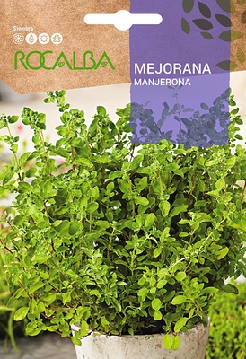 Semilla Mejorana