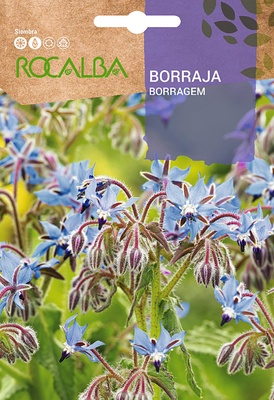 Semilla Borraja Officinalis Semilla Borraja Officinalis