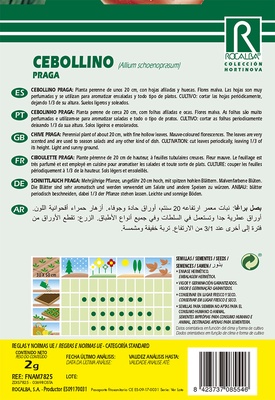 Semilla Cebollino Praga
