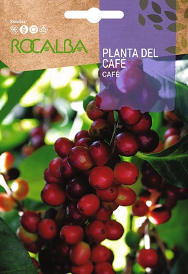 Semilla Planta del Cafe