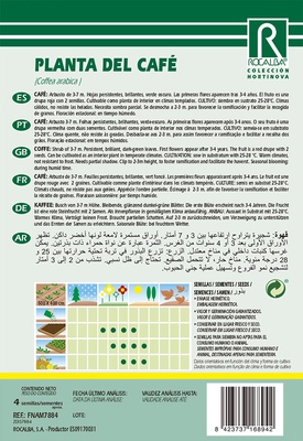 Semilla Planta del Cafe