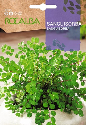 Semilla Sanguisorba