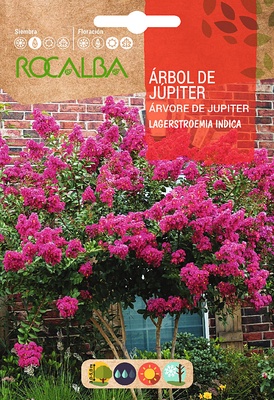 Semilla Arbol de Jupiter -lagerstroemia Indica- Semilla Arbol de Jupiter -lagerstroemia Indica-