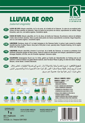 Semilla Lluvia de Oro -laburnum Anagyroides-