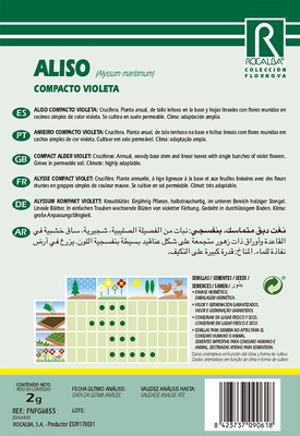 Semilla Aliso Compacto, Violeta