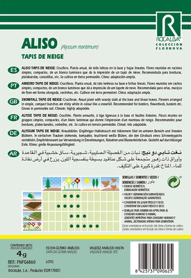 Semilla Aliso Tapis de Neige