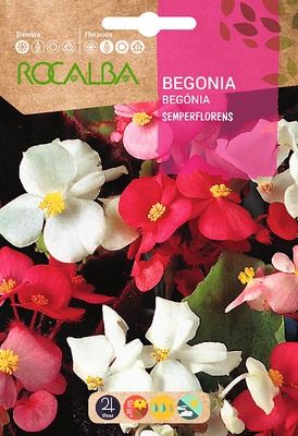 Semilla Begonia Semperflorens, Variada Semilla Begonia Semperflorens, Variada