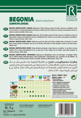 Semilla Begonia Semperflorens, Variada