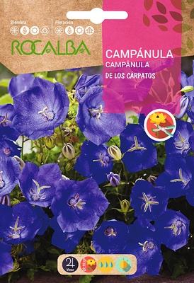 Semilla Campanula de los Carpatos, Azul Semilla Campanula de los Carpatos, Azul