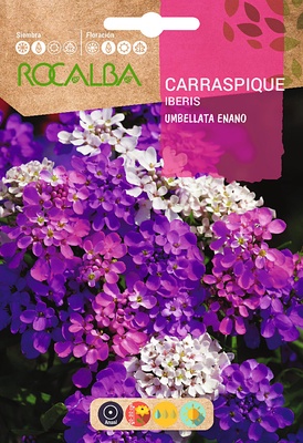 Semilla Carraspique Umbellata Enano Variado Semilla Carraspique Umbellata Enano Variado
