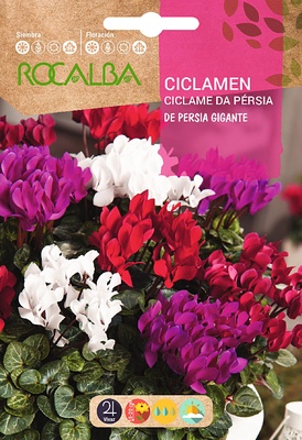 Semilla Ciclamen de Persia Gigante, Variado Semilla Ciclamen de Persia Gigante, Variado