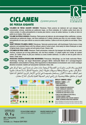 Semilla Ciclamen de Persia Gigante, Variado