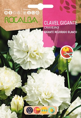 Semilla Clavel Gigante Mejorado Blanco