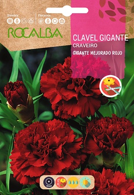 Semilla Clavel Gigante Mejorado, Rojo Semilla Clavel Gigante Mejorado, Rojo