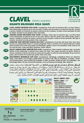 Semilla Clavel Gigante Mejorado Rosa Suave
