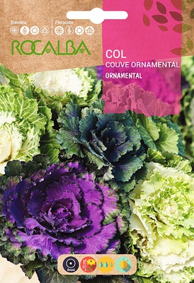 Semilla Col Ornamental Variada