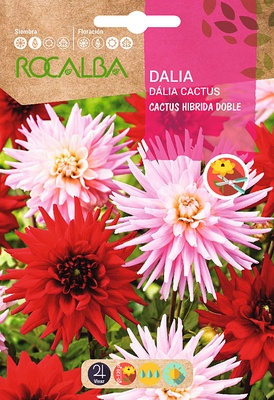 Semilla Dalia Cactus Hibrida Doble Variada Semilla Dalia Cactus Hibrida Doble Variada