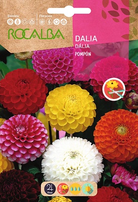 Semilla Dalia Pompon Doble Variada Semilla Dalia Pompon Doble Variada