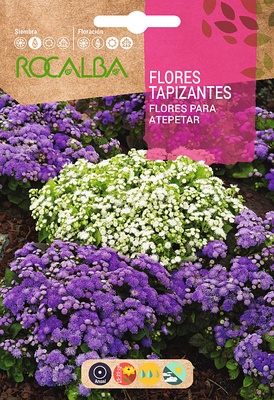 Semilla Flores Tapizantes