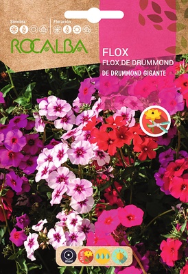 Semilla Flox de Drummond Gigante Variado Semilla Flox de Drummond Gigante Variado