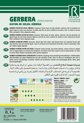 Semilla Gerbera Rayon de Soleil Hibrida